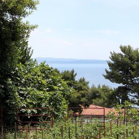 Apartman Buki **** Σπλιτ Εξωτερικό φωτογραφία