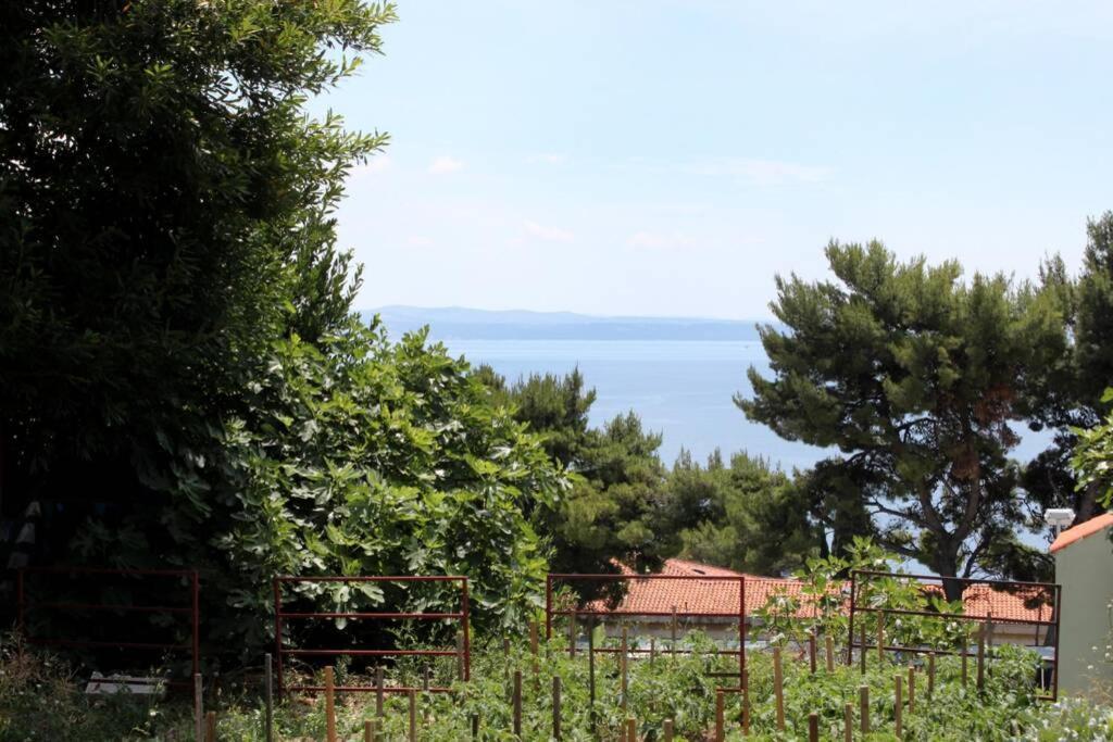 Apartman Buki **** Σπλιτ Εξωτερικό φωτογραφία